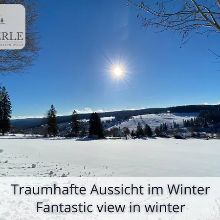 Exklusives 5-Sterne Apartment Waldperle Mit Indoor-Pool, Sauna, Top Lage Und Ausblick In Die Natur, Hunde Willkommen Schonach im Schwarzwald Extérieur photo