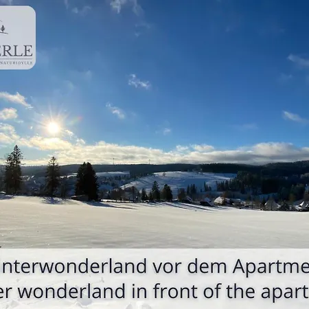 Exklusives 5-Sterne Apartment Waldperle Mit Indoor-Pool, Sauna, Top Lage Und Ausblick In Die Natur, Hunde Willkommen Schonach im Schwarzwald Extérieur photo
