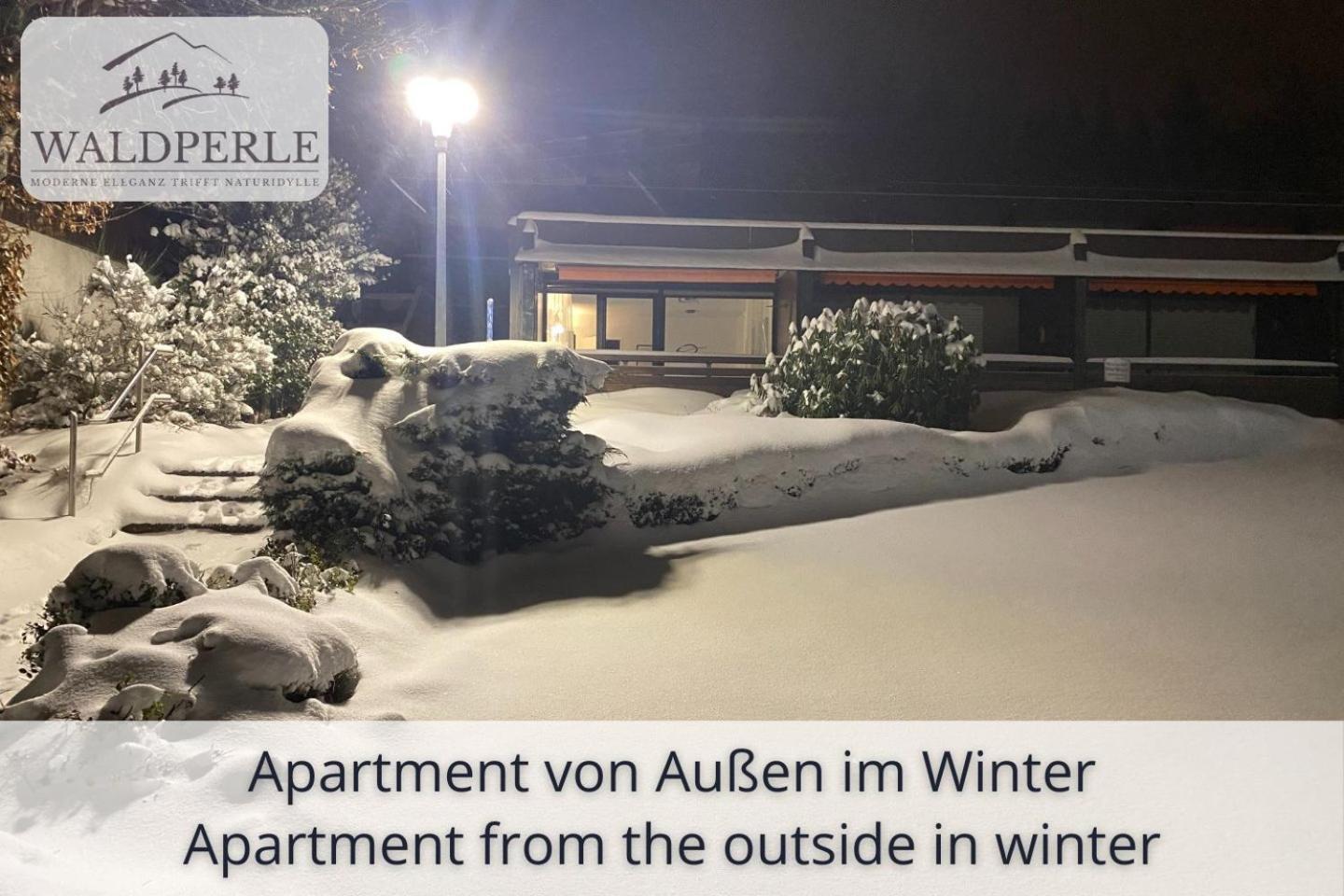 Exklusives 5-sterne Waldperle Mit Indoor-pool, Sauna, Lage Und Ausblick In Natur, Hunde Willkommen Appartement Schonach im Schwarzwald
