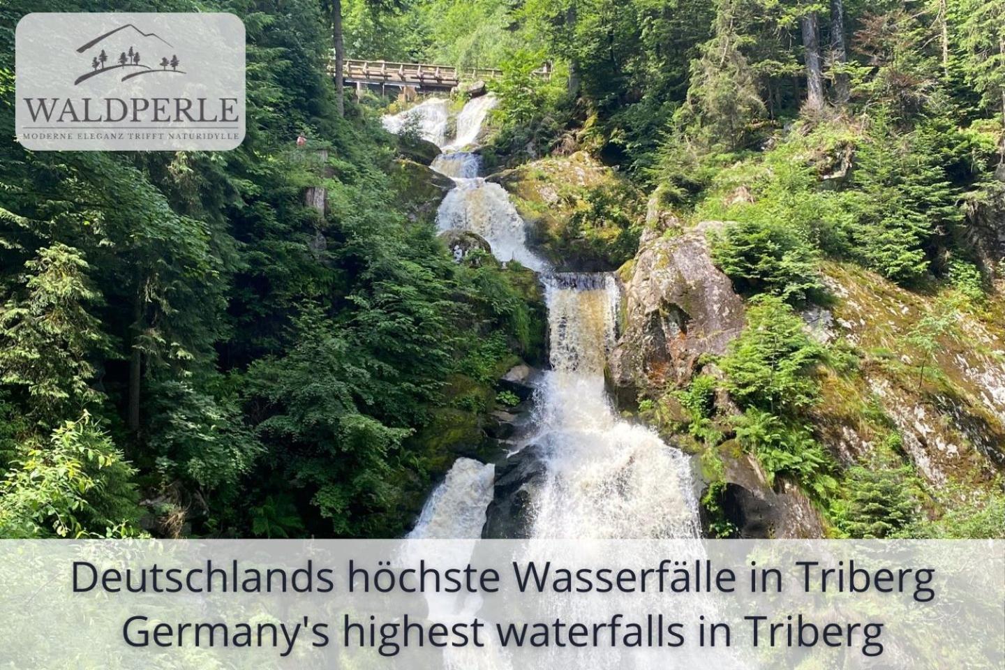 Exklusives 5-sterne Waldperle Mit Indoor-pool, Sauna, Lage Und Ausblick In Natur, Hunde Willkommen Schonach im Schwarzwald