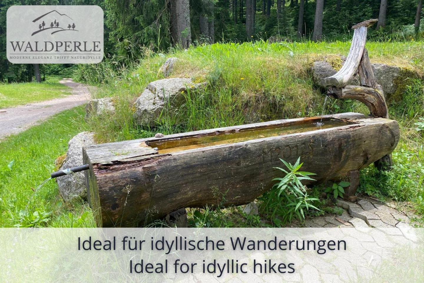 Exklusives 5-sterne Waldperle Mit Indoor-pool, Sauna, Lage Und Ausblick In Natur, Hunde Willkommen * Schonach im Schwarzwald