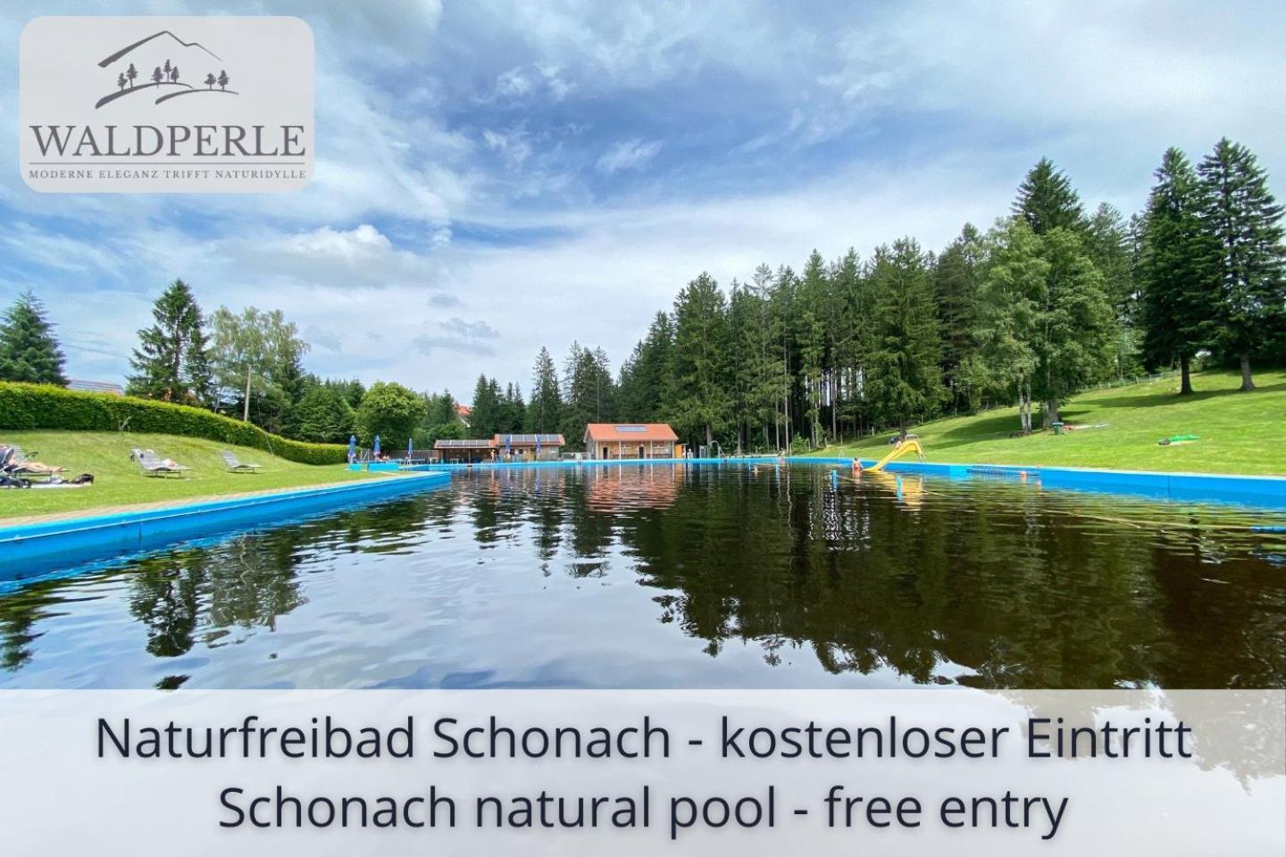 Exklusives 5-sterne Waldperle Mit Indoor-pool, Sauna, Lage Und Ausblick In Natur, Hunde Willkommen Appartement