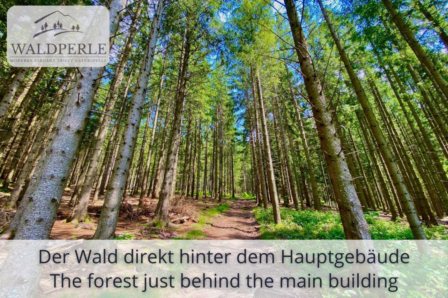 Exklusives 5-sterne Waldperle Mit Indoor-pool, Sauna, Lage Und Ausblick In Natur, Hunde Willkommen Appartement *