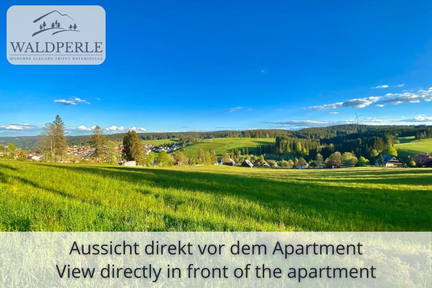 Exklusives 5-sterne Waldperle Mit Indoor-pool, Sauna, Lage Und Ausblick In Natur, Hunde Willkommen Appartement Schonach im Schwarzwald