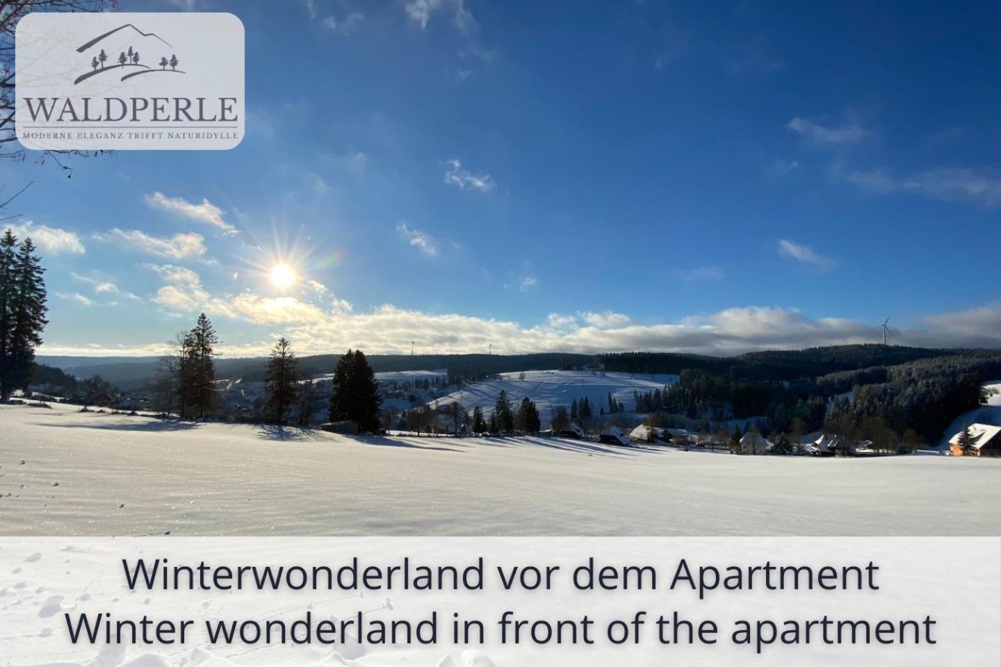 Appartement Exklusives 5-sterne Waldperle Mit Indoor-pool, Sauna, Lage Und Ausblick In Natur, Hunde Willkommen Schonach im Schwarzwald