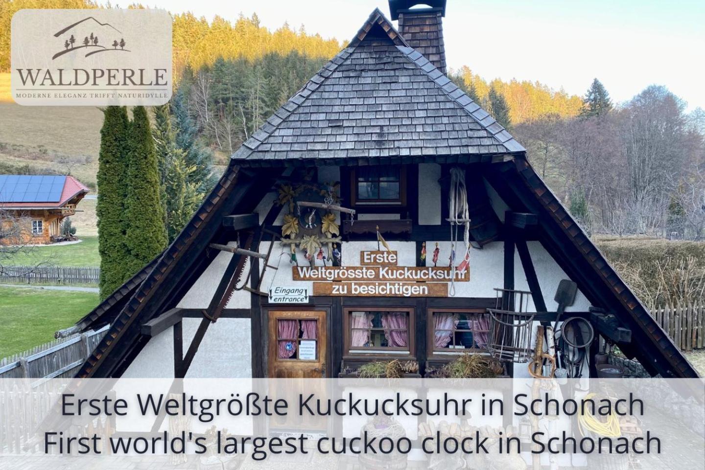 Exklusives 5-sterne Waldperle Mit Indoor-pool, Sauna, Lage Und Ausblick In Natur, Hunde Willkommen * Schonach im Schwarzwald