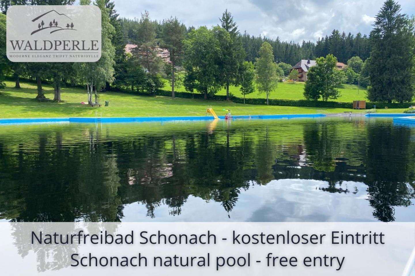 Exklusives 5-sterne Waldperle Mit Indoor-pool, Sauna, Lage Und Ausblick In Natur, Hunde Willkommen