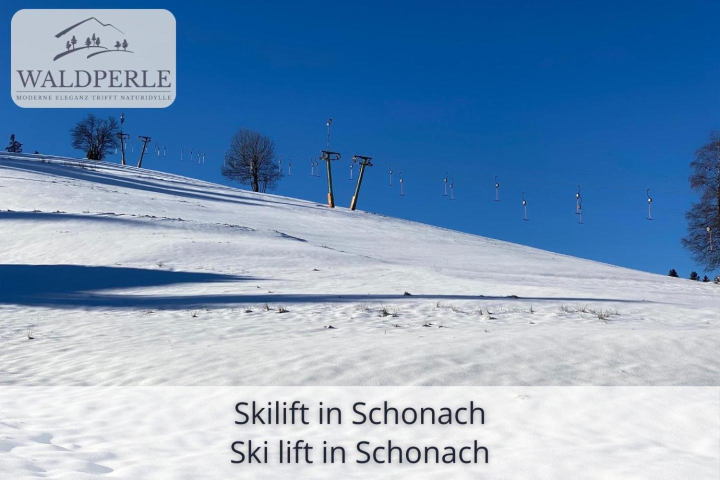Exklusives 5-sterne Waldperle Mit Indoor-pool, Sauna, Lage Und Ausblick In Natur, Hunde Willkommen Appartement Schonach im Schwarzwald