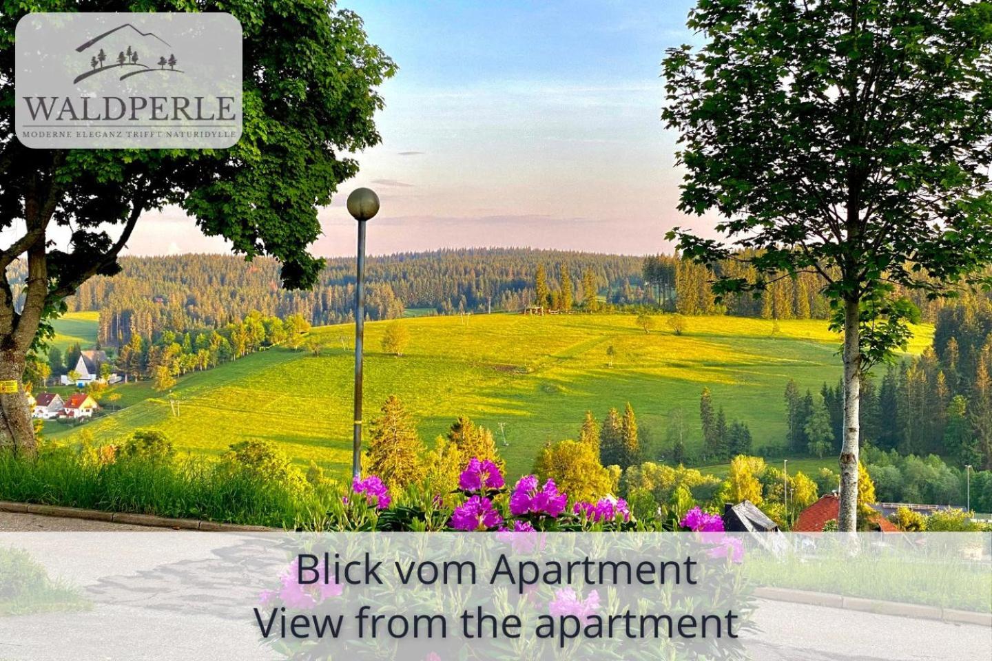 Appartement Exklusives 5-sterne Waldperle Mit Indoor-pool, Sauna, Lage Und Ausblick In Natur, Hunde Willkommen Schonach im Schwarzwald