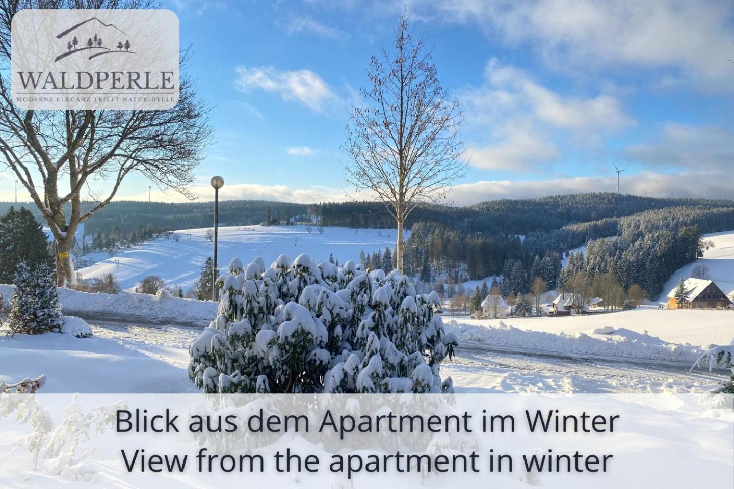 Exklusives 5-sterne Waldperle Mit Indoor-pool, Sauna, Lage Und Ausblick In Natur, Hunde Willkommen Schonach im Schwarzwald